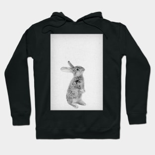 Rabbit 11 Hoodie